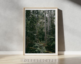 Cathedral Grove Photography Print | Vancouver Island Landscape Wall Art