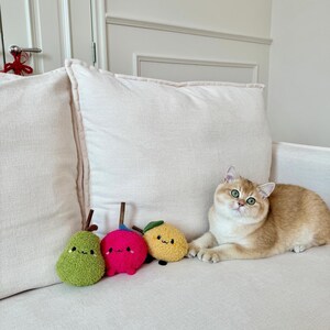 Kawaii Catnip Cat Toys: Plush Fruit & Veggie Set with Silvervine