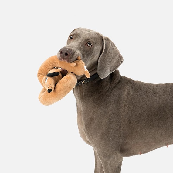 Squeaky Dachshund Plush Toy: Long Body Dog Companion - Etsy