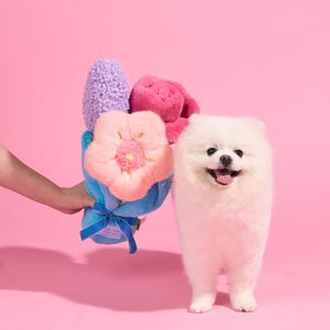Flower Plush Dog Toys Set | Soft Squeaky Dog Chew Toys | Cute Spring Puppy Toys | Aesthetic Dog Gift