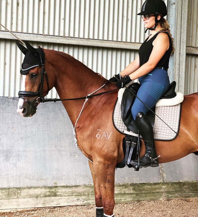 King Andrews Stabilising Martingale ROPE pony and full image 2