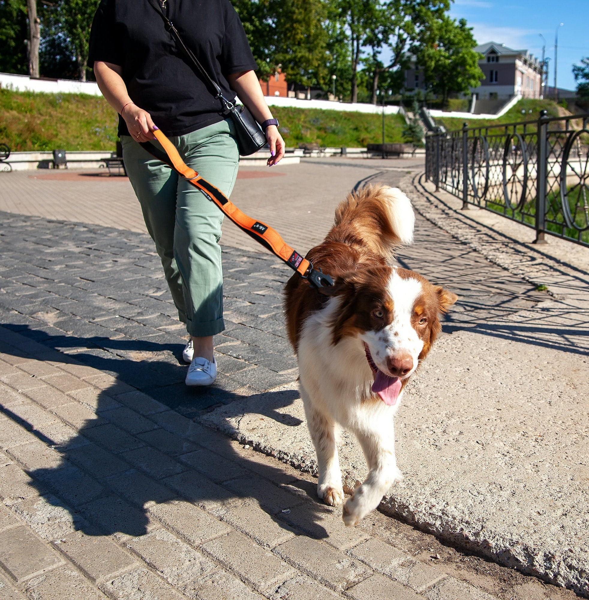 Heavy duty cheap dog lead