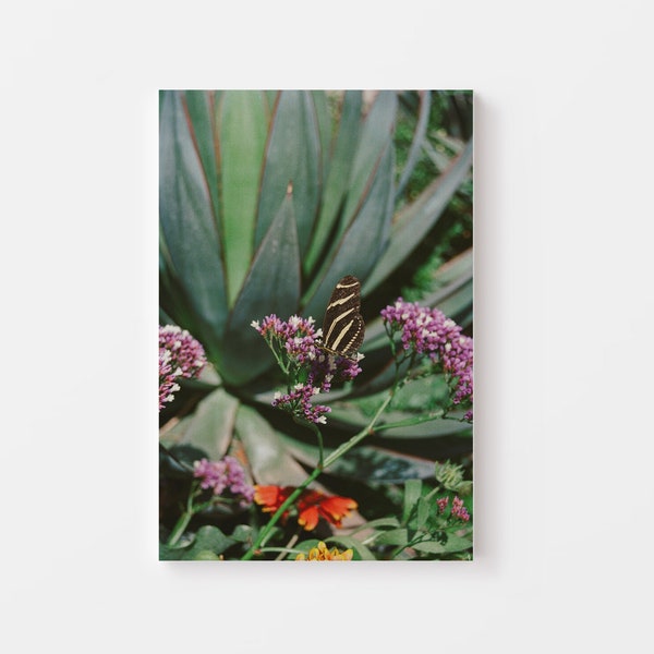 Butterfly Canvas Wall Art, Nature Photography, 2x3 Canvas, Nature Art Print, Floral Art, Butterflies, Agave Photo
