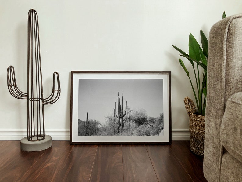 Cactus Black and White Film Print Arizona Photography Desert - Etsy