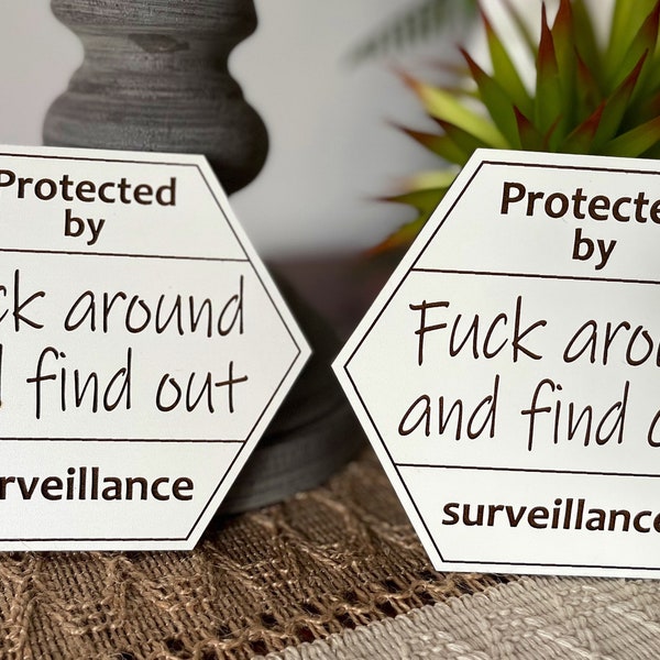 Protected By Fuck Around And Find Out Surveillance Signs PACK OF 2 / Gag Gift / Funny Security Signs