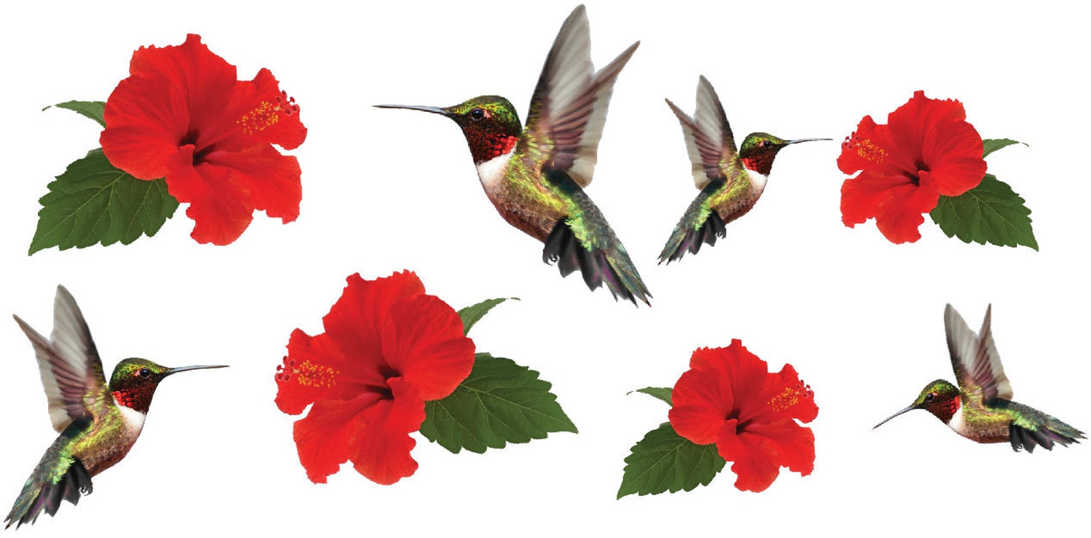 Bird Wall Decals Hummingbird Wall Stickers Removable Etsy