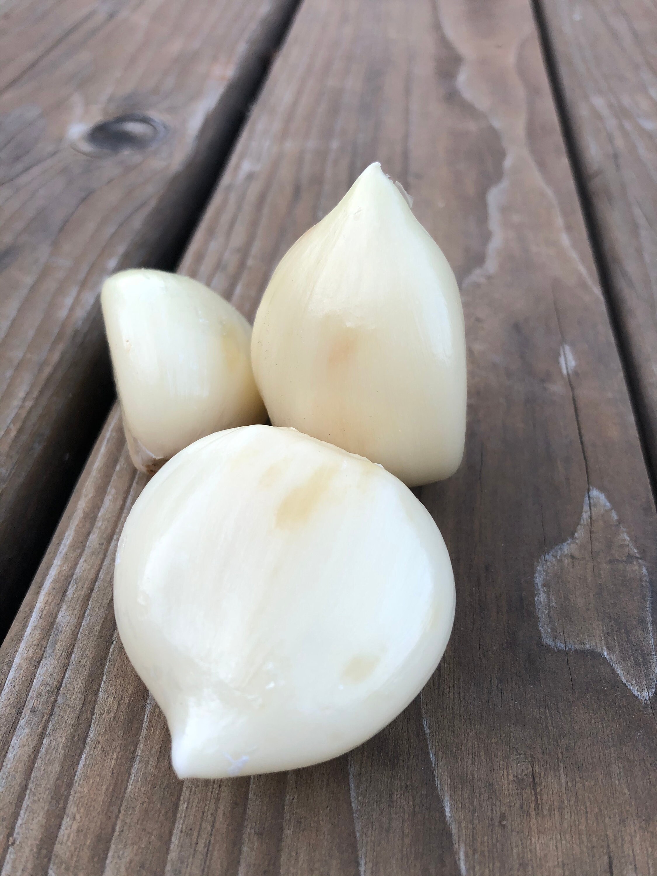 Elephant Garlic Organic and Sustainably Grown Etsy