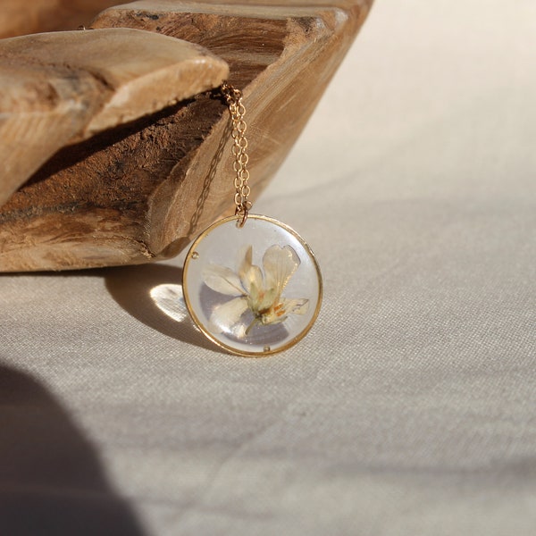Collier pendentif en véritables fleurs séchées fenêtre cercle rond doré fleur blanche beige