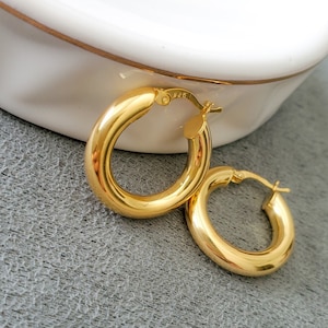 925 Sterling Silver Thick Hoop Earrings, Chunky Huggie Hoops, 14k Gold Filled Hoops, Statement Hoop Earrings, Small 5mm Hoops, Gift for Her