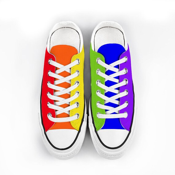 Regenboogschoenen Pride Schoenen LGBTQ Schoenen Heren - Etsy België