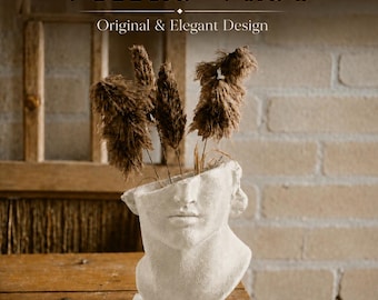 Venus Elegance Sculptural Vase | For Faux Plants | Modern Greek Bust Decor | Shelf Statue