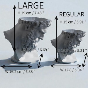 May include: Two white head-shaped planters labeled LARGE and REGULAR. The LARGE planter is 7.48 inches high, 6.69 inches deep, and 6.38 inches wide. The REGULAR planter is 5.91 inches high, 5.31 inches deep, and 5.04 inches wide.