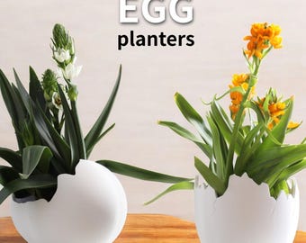 May include: Two white ceramic egg-shaped planters with cracked edges. One planter holds a green plant with white flowers, the other holds a green plant with yellow flowers. The text "EGG planters" is written in black above the planters.