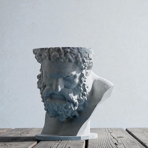 May include: A light gray bust planter shaped like the head of a bearded man with curly hair. The sculpture features a hollow top opening, detailed facial features including a prominent brow and thick beard, and a smooth, matte finish throughout.