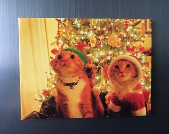 Christmas - Cats #1 magnet