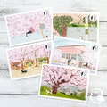 Spring Japanese Tabineko Postcards | Cats Traveling in the Four Seasons of Japan | Toshinori Mori | Made in Japan | Decoration, Cards product logo