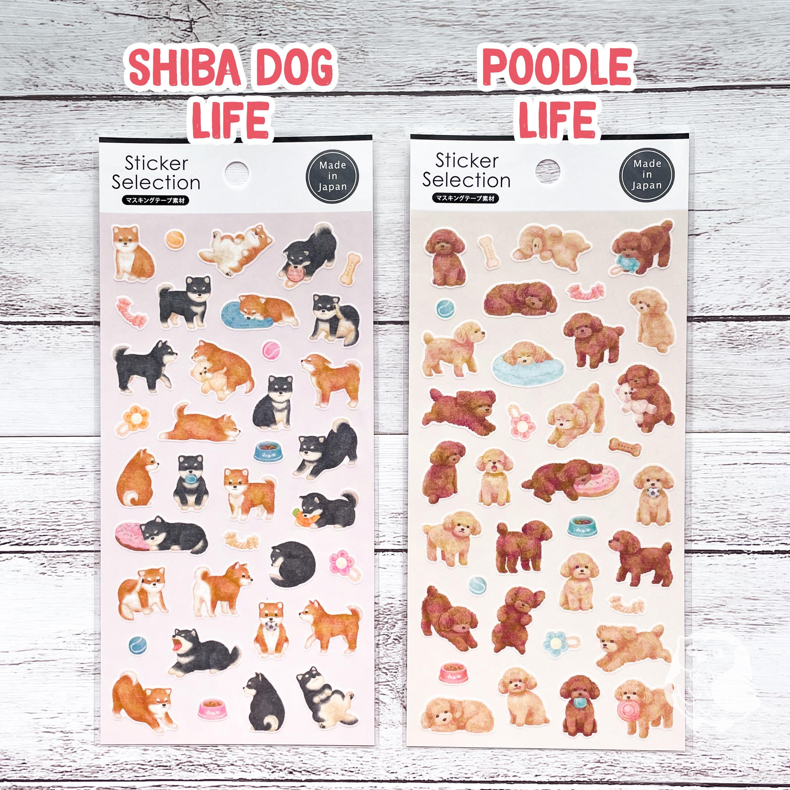 Animali Domestici Isometrici Degli Animali Domestici Con Il Gatto, Il - Foto 11