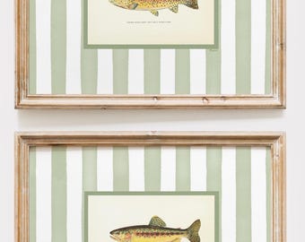 Forelle Kunstdrucke, Vintage Fischen Illustration, Grüne Streifen (Digitaler Download)
