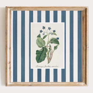 5 blue square striped floral art prints, grandmillenial Nancy meyers inspired botanical print with blue stripe prints, digital download