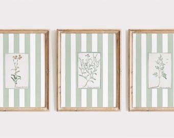 Sage Green Botanical Prints, Striped Background, Set of 4 (Digital Download)
