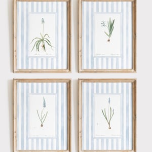 8 pastel blue striped floral art prints, blue grandmillenial antique botanical, Nancy meyers inspired, digital download 16&quot;x20&quot;, set of 8