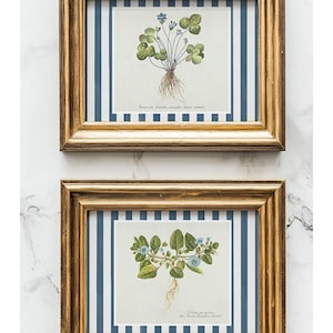 3 blue horizontal striped floral art prints, grandmillenial Nancy meyers inspired botanical print, striped mat, blue stripe prints, digital