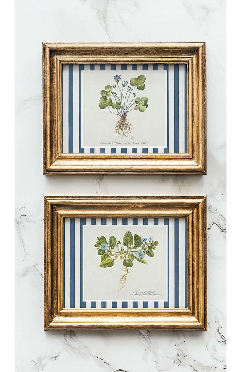 Blue Striped Botanical Art Prints, Set of 3 (digital Download) - Etsy