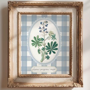 8 gingham floral blue prints, baby blue grandmillenial antique botanical prints, scalloped cottage art prints, digital download