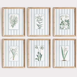 6 lichtblauw gestreepte bloemsierkunstafdrukken, grijsblauwe antieke botanische prints, door Nancy Meyers geïnspireerde kunstafdrukken digitale download