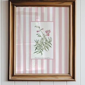 6 bubblegum pink striped floral art prints, pink grandmillenial antique botanical prints, Nancy meyers inspired art prints digital download