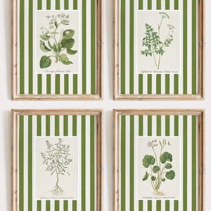 May include: Four framed botanical prints with green and white striped frames. Each print features a different type of plant with its Latin name and a description in cursive writing. The prints are arranged in a grid pattern.
