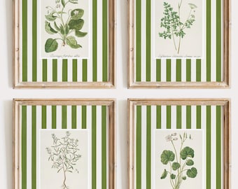 Botanical Art Prints, Green Striped Grandmillenial Decor (Digital Download)