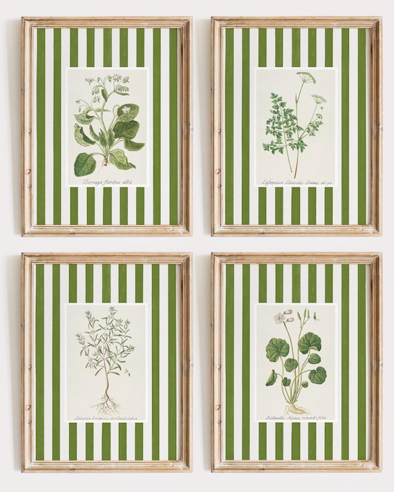 Botanical Art Prints, Green Striped Grandmillenial Decor (Digital Download)