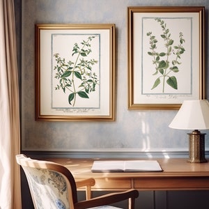 Láminas botánicas blancas antiguas, arte mural estilo cabaña (descarga digital)