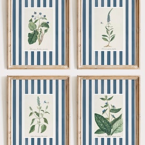 5 blue striped floral art prints, grandmillenial Nancy meyers inspired botanical print with striped mat blue stripe prints, digital download