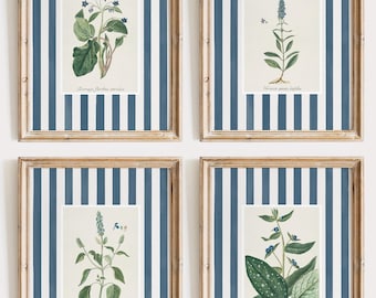 Blue Striped Botanical Art Prints, Set of 5 (Digital Download)