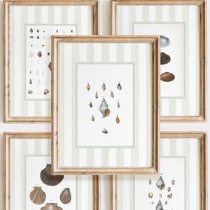 Coastal Seashell Art Prints, Grandmillenial Green Stripes (Digital Download)