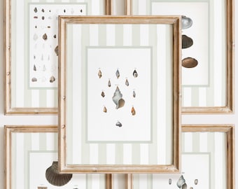 Coastal Seashell Art Prints, Grandmillenial Green Stripes (Digital Download)