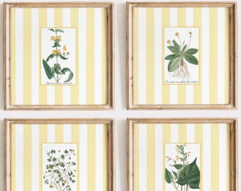 Botanical Art Prints, Yellow Striped Background, Grandmillennial Decor (Digital Download)