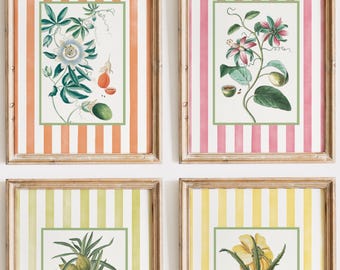 Striped Botanical Art Prints, Antique Tropical Decor (Digital Download)
