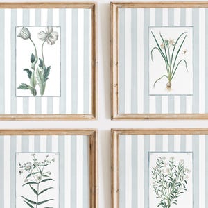 6 square light blue striped floral art prints, grandmillenial Nancy meyers inspired botanical print, baby blue digital download classic art