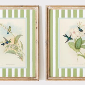 Kolibrie kunstafdrukken, 2 groenblauwe en roze aquarel afdrukbare digitale bestanden, antieke vogel kunst aan de muur met strepen, vintage decor, bloemen