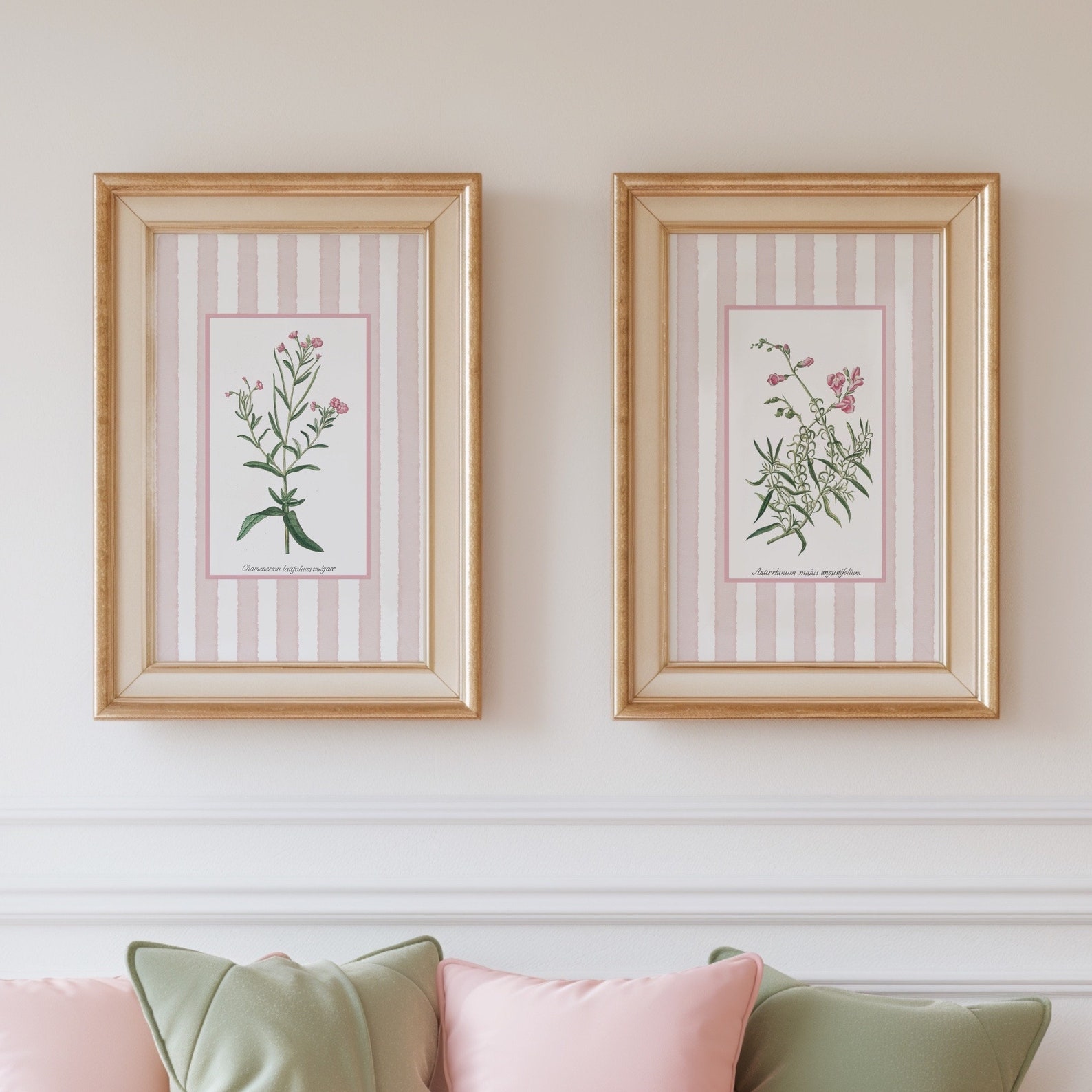 Pink Striped Floral Botanical Art Prints, Set of 6 (digital Download ...