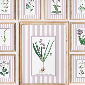 9 striped floral art prints, lavender purple grandmillenial antique botanical prints, Nancy meyers inspired art prints digital download