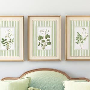 16 grün gestreifte florale Kunstdrucke, antike botanische, Cottage Art, grandmillenial Stil, Nancy Meyers inspiriert mit gestreiftem, mattem Rand