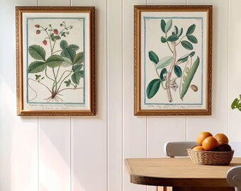 Vintage Botanical Prints: English Country Cottage Kitchen (Digital Download)