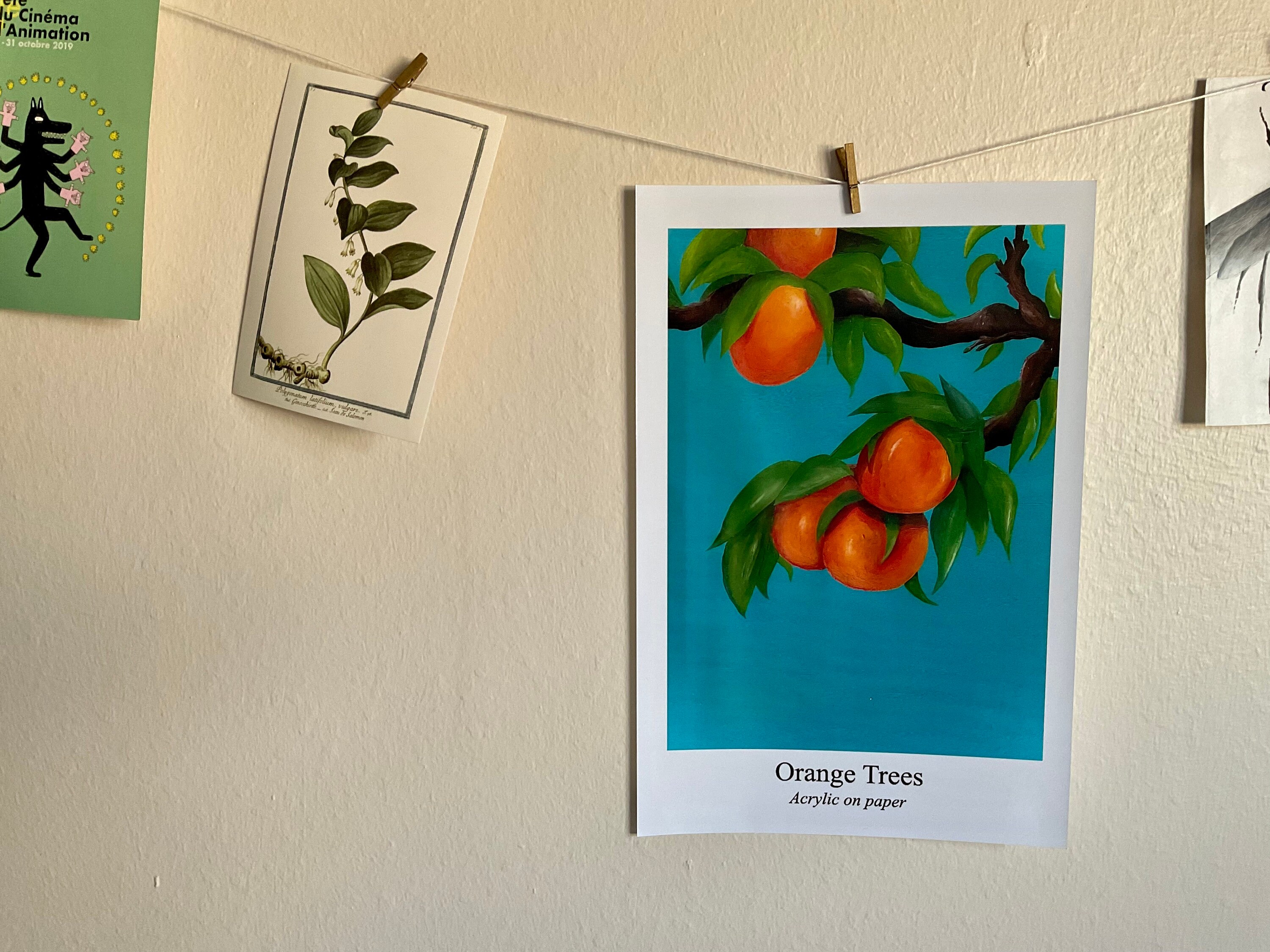 Illustration Aux Oranges