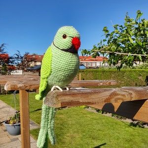 Ringneck Parrot ENGLISH/ DUTCH Ringneck Parakeet crochet pattern