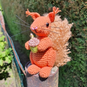 Op de afbeelding: Een gehaakt oranje eekhoorn speelgoed dat een groene en bruine eikel vasthoudt. De eekhoorn heeft een pluche bruine staart en zwarte snorharen.