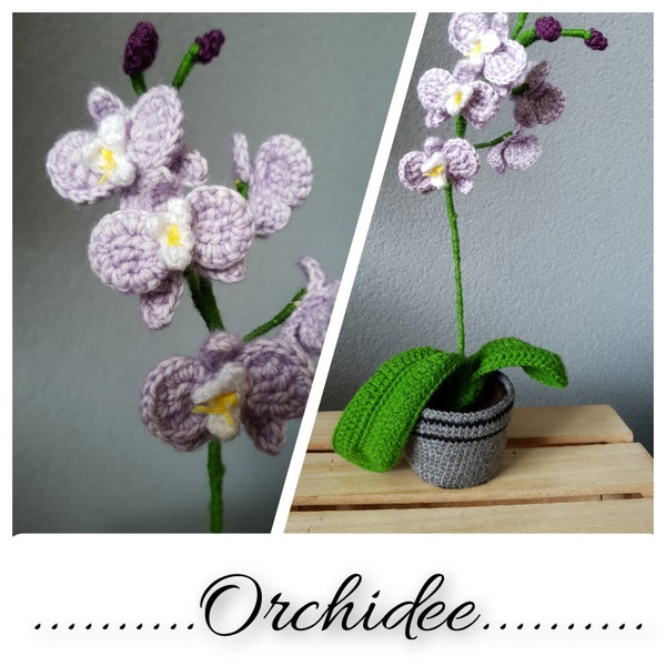 Orchid ENGLISH/DUTCH Orchidee crochet pattern